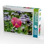 Ein Motiv aus dem Kalender Traumhafte Mohnblüte (Puzzle)