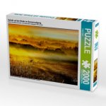 Schafe auf der Weide im Sonnenaufgang (Puzzle)