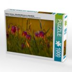 Kleine Laternen - Schachbrettblumen im Abendlicht (Puzzle)