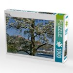 Koblenz (Puzzle)