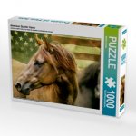 American Quarter Horse (Puzzle)