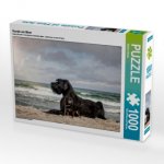 Hunde am Meer (Puzzle)