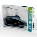 Kätzchen zum Verlieben (Puzzle)