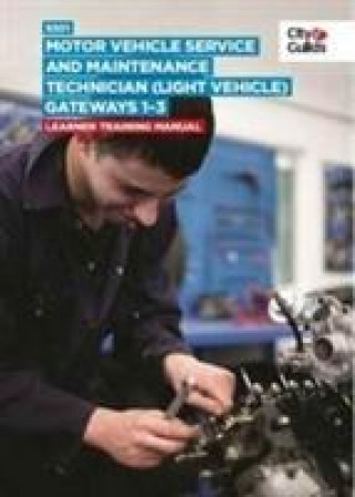 9301 Motor Vehicle Service and Maintenance Technician (Light Vehicle) on-Programme Tasks: Training Manual