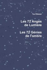 72 Anges De Lumiere, Les 72 Genies De L'ombre