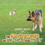 Adventures of Prince and Toby