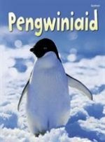 Cyfres Dechrau Da: Pengwiniaid