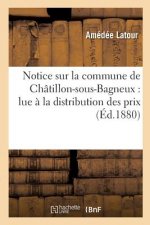 Notice Sur La Commune de Chatillon-Sous-Bagneux: Lue A La Distribution Des Prix Des Ecoles