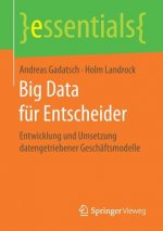 Big Data fur Entscheider