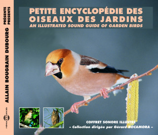 Sound Guide of Garden Birds