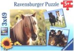 Ravensburger Kinderpuzzle - 08011 Liebe Pferde - Puzzle für Kinder ab 5 Jahren, Puzzle mit 3x49 Teilen