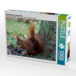 Eichhörnchen in freier Natur (Puzzle)