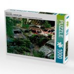 Ein Motiv aus dem Kalender Autowracks - rostende Liebe (Puzzle)