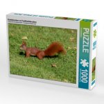 Eichhörnchen im ParkEichhörnchen (Puzzle)