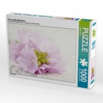 Zart violette Blümchen (Puzzle)