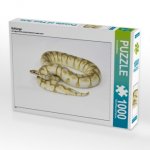 Schlange (Puzzle)