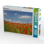 Mohnblumenfeld (Puzzle)