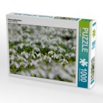 Schneeglöckchen (Puzzle)
