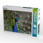 Blauer Pfau (Puzzle)