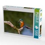 Eisvogel (Puzzle)