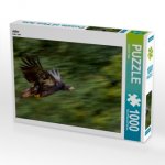 Adler (Puzzle)