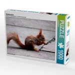 Eichhörnchen (Puzzle)