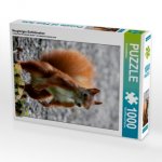 Neugieriges Eichhörnchen (Puzzle)
