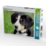 Entlebucher Sennenhund (Puzzle)