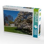 Magnolienblüte im Kurpark Bad-Cannstatt (Puzzle)