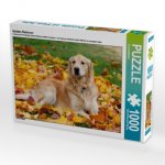 Golden Retriever (Puzzle)