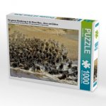 Die grosse Wanderung in der Masai Mara....Gnus und Zebras (Puzzle)