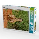 Giraffen (Puzzle)