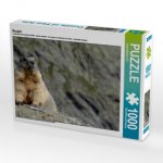 Neugier (Puzzle)