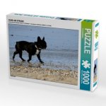 HUND AM STRAND (Puzzle)