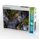 Leopard im Baum, Afrika (Puzzle)