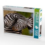 Blick zurück, Südafrika (Puzzle)
