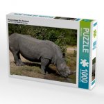 Wasserstopp fürs Nashorn (Puzzle)