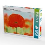 Mohnblumen-ein Traum in rot (Puzzle)