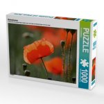 Mohnblumen (Puzzle)