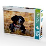 Entlebucher Sennenhund (Puzzle)