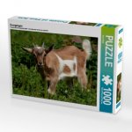 Zwergziegen (Puzzle)