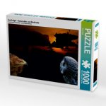 Greifvögel - Kaiseradler und Bartkautz (Puzzle)