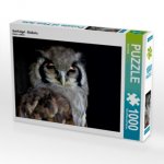 Greifvögel - Blaßuhu (Puzzle)