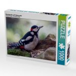 Buntspecht auf Futtersuche (Puzzle)