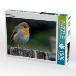 Rotkehlchen (Puzzle)