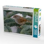 Heckenbraunelle (Puzzle)