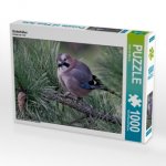 Eichelhäher (Puzzle)