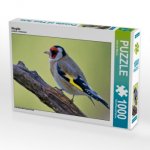 Stieglitz (Puzzle)