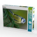 Blaumeise (Puzzle)