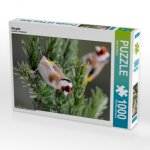 Stieglitz (Puzzle)